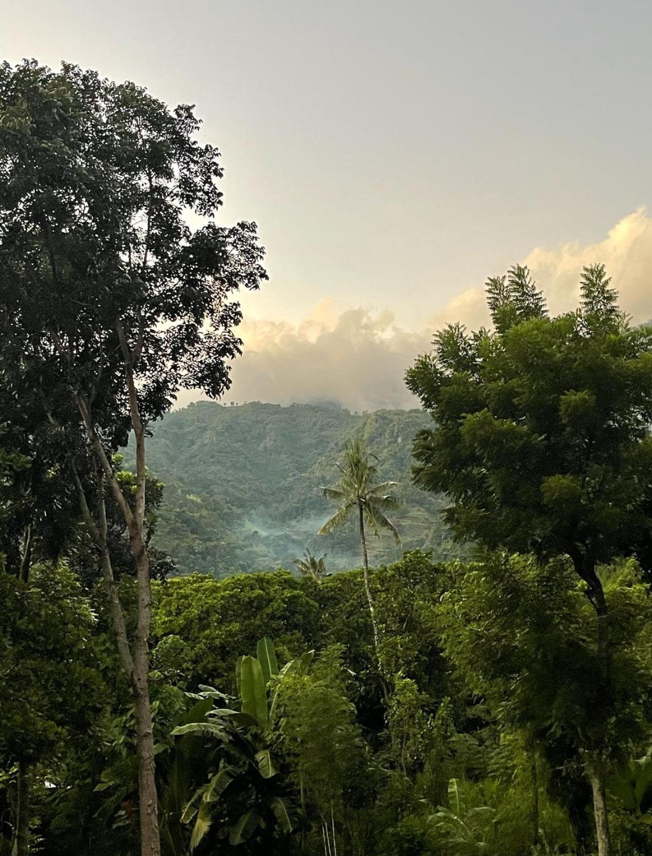 Tropical Habitat Bali Vila Amed Exterior foto